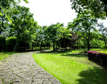 Long stone pathway through a green park or forest during spring.
