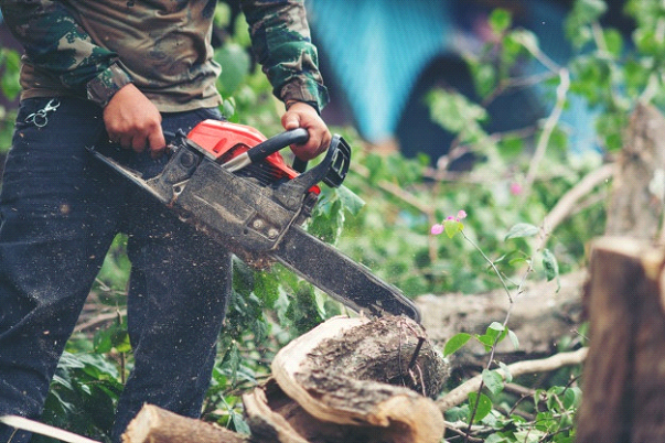 A man cutting a stump or log with a red chainsaw located in a garden or landscape.
