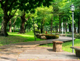 Stone walkway at a large park with green trees and stone benches.